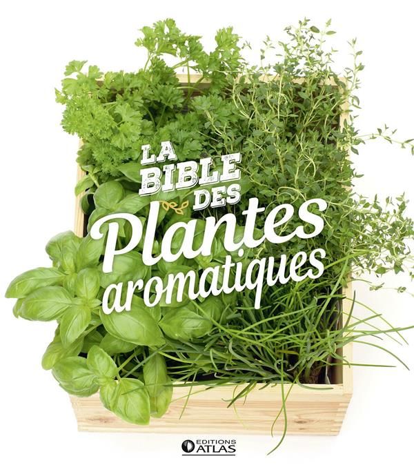 Emprunter La bible des plantes aromatiques livre