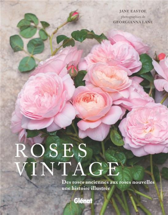 Emprunter Roses vintage livre