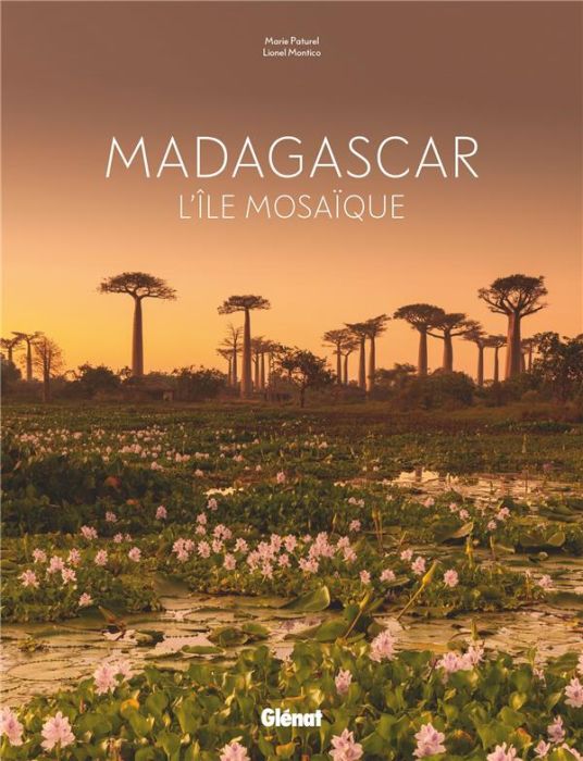 Emprunter Madagascar. L'île mosaïque livre