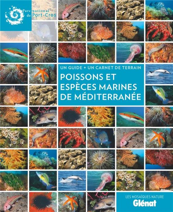 Emprunter Poissons et espèces marines en Méditerranée. Un guide + un carnet de terrain livre