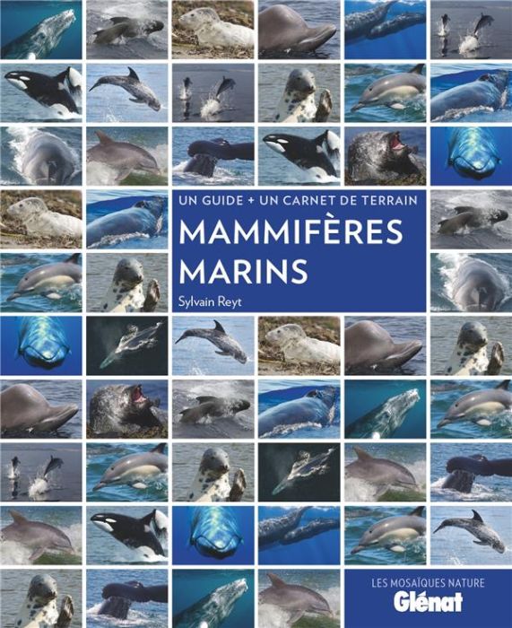 Emprunter Mammifères marins. Un guide + un carnet de terrain livre