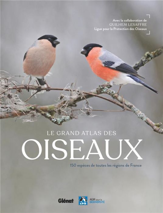 Emprunter Le grand atlas des oiseaux. 150 espèces de toutes les régions de France livre