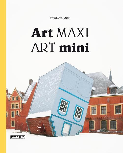 Emprunter Art maxi/Art mini livre
