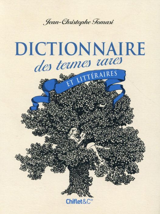 Emprunter Dictionnaire des termes rares et littéraires livre