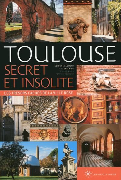Emprunter Toulouse secret et insolite. Les trésors cachés de la ville rose, Edition 2017 livre