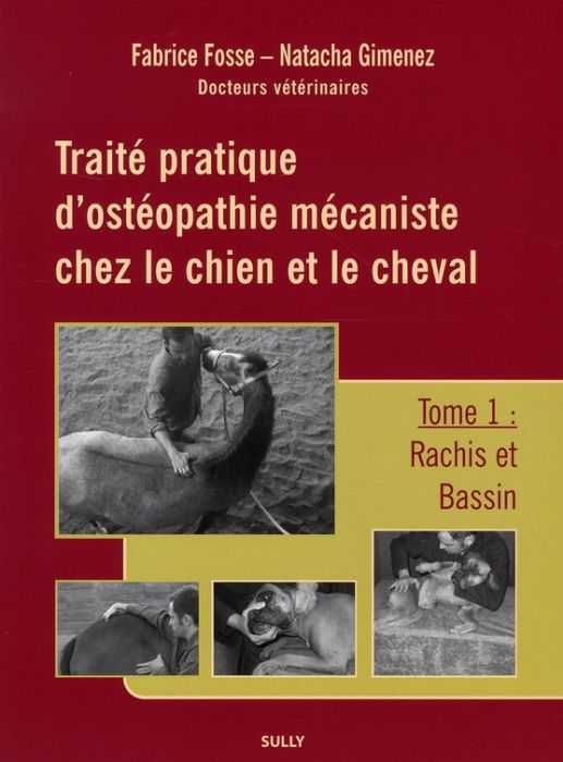 Emprunter Traité pratique d'ostéopathie mécaniste chez le chien et le cheval. Tome 1, Rachis et bassin livre