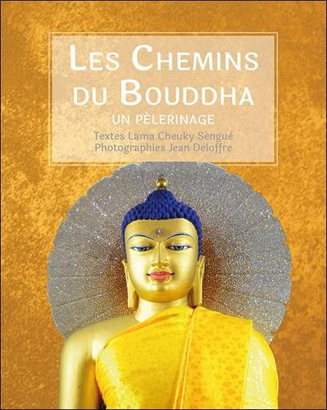 Emprunter Les chemins du Bouddha livre