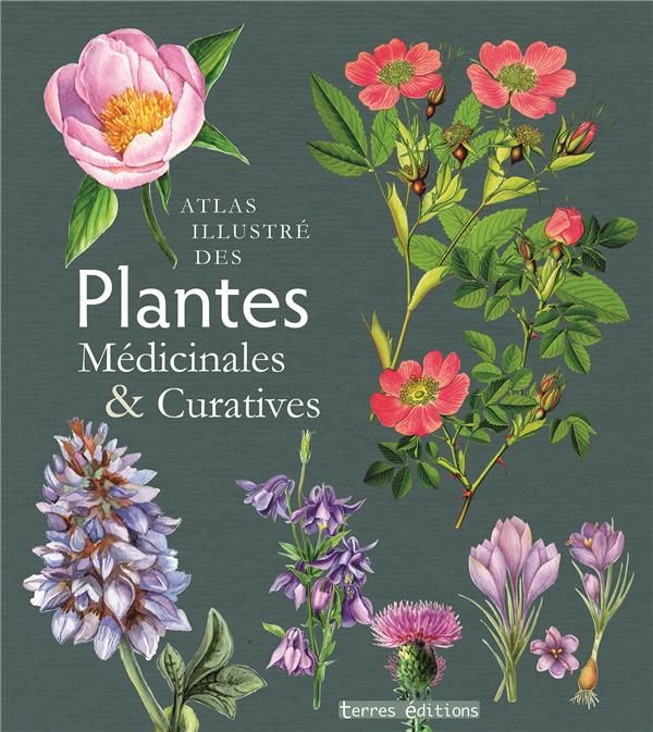 Emprunter Atlas illustré des plantes médicinales & curatives livre