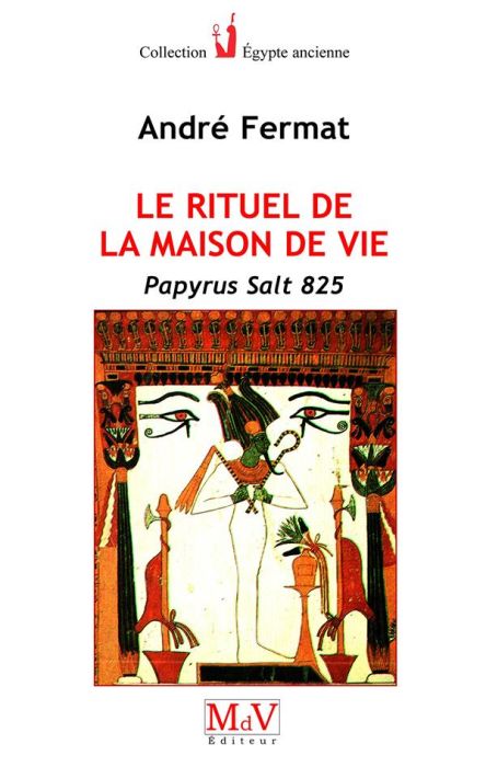 Emprunter Le rituel de la maison de vie. Papyrus Salt 825 livre