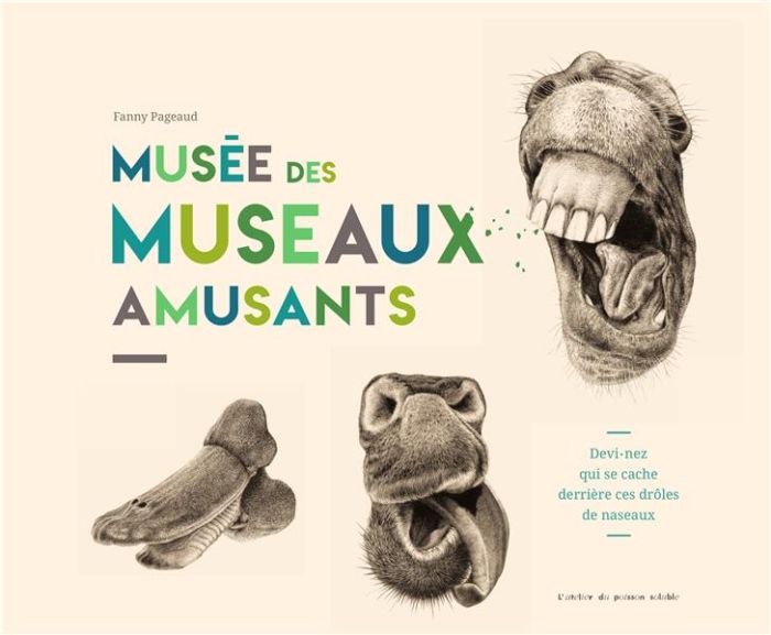 Emprunter Musée des museaux amusants livre