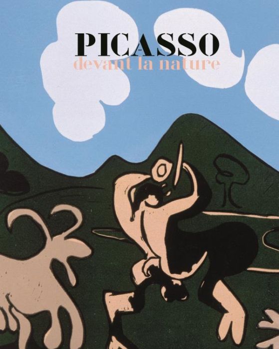 Emprunter Picasso devant la nature livre