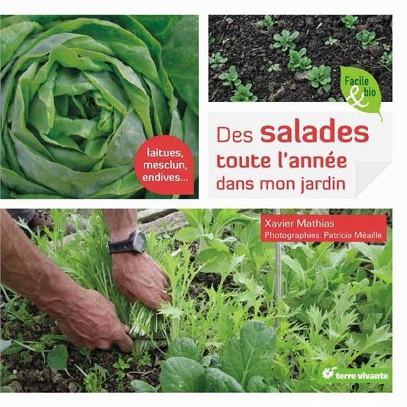 Emprunter Des salades toute l'année dans mon jardin livre