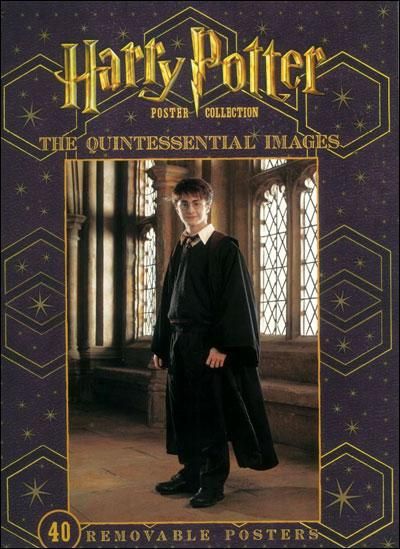 Emprunter Harry Potter : portraits de légende livre