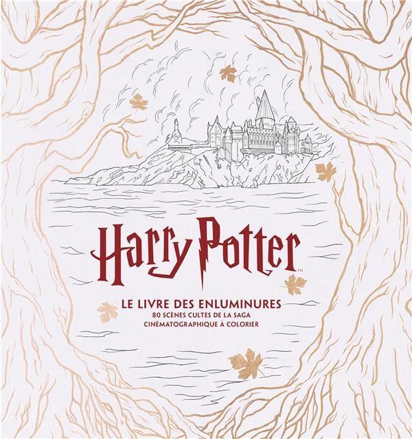 Emprunter Harry Potter, le livre des enluminures. 80 scènes cultes de la saga cinématographique à colorier livre