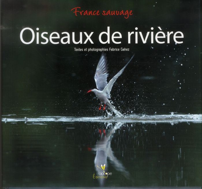Emprunter Oiseaux de rivière / France sauvage livre