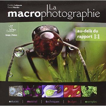 Emprunter La macrophotographie : au-dela du rapport 1:1 livre
