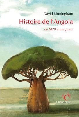 Emprunter Histoire de l'Angola. De 1820 à nos jours livre