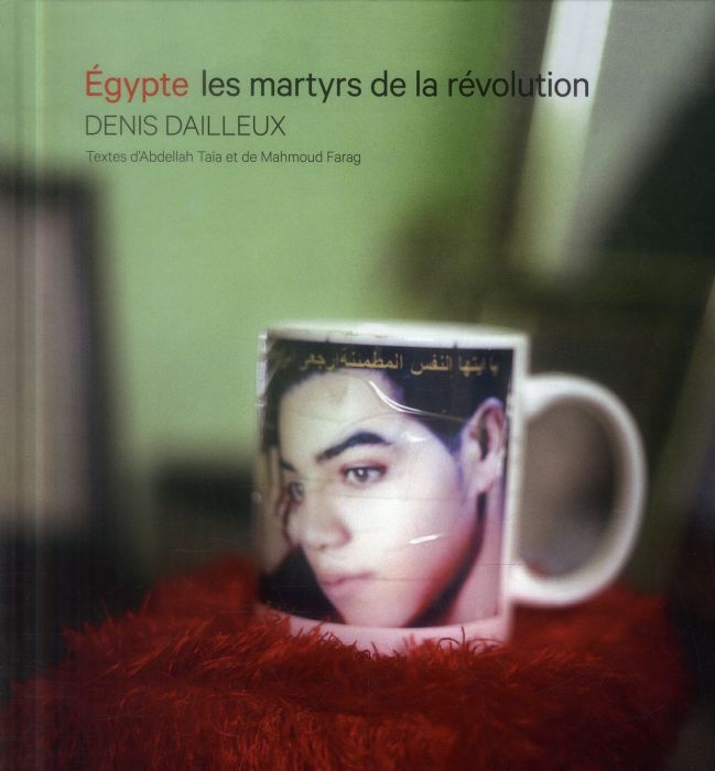 Emprunter Egypte - Les martyrs de la révolution livre