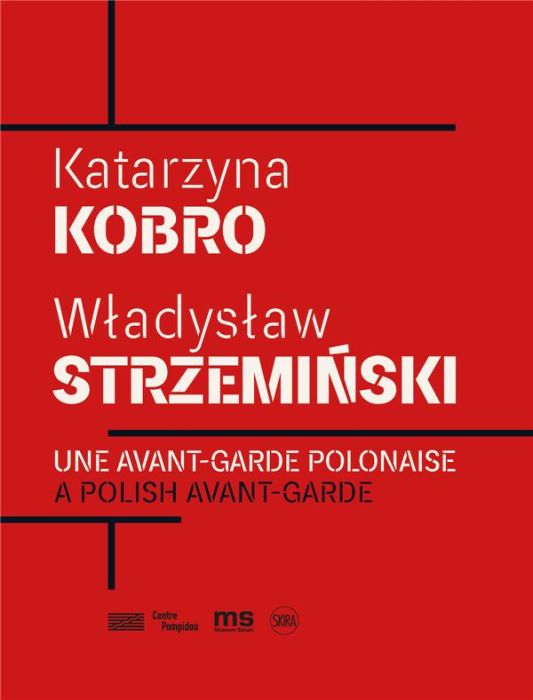 Emprunter Katarzyna Kobro & Wladyslaw Strzeminski. Une avant-garde polonaise, Edition bilingue français-anglai livre