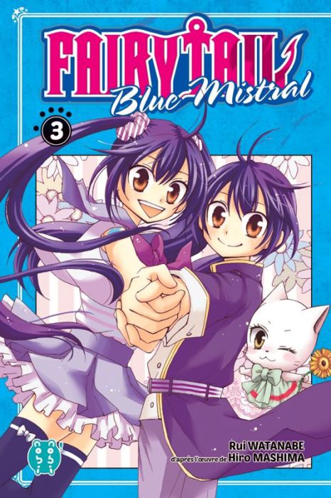 Emprunter Fairy Tail Blue Mistral Tome 3 livre