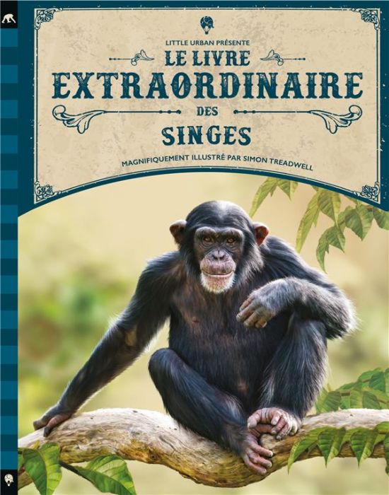 Emprunter Le livre extraordinaire des singes livre