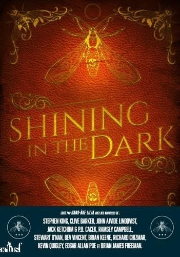 Emprunter Shining in the Dark. Fêter les vingt ans de Lilja's Library livre