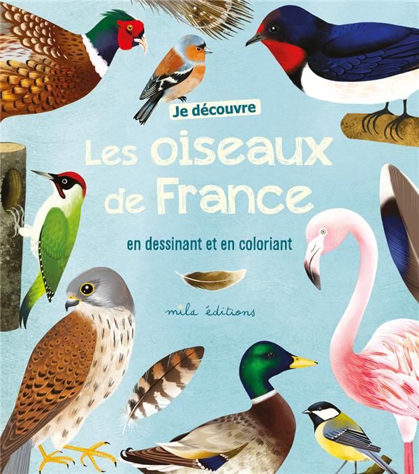 Emprunter Je découvre les oiseaux de France en dessinant et en coloriant livre