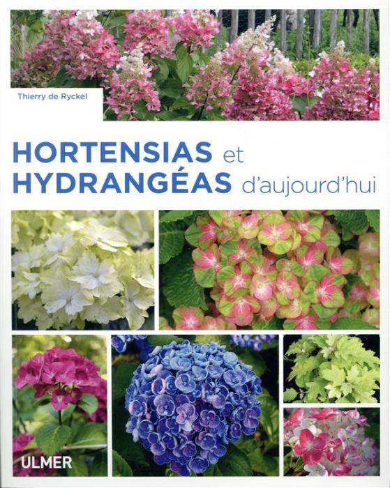 Emprunter Hortensias et hydrangéas d'aujourd'hui livre
