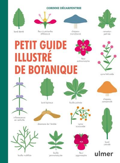 Emprunter Petit guide illustré de botanique livre