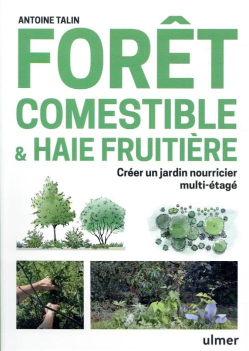 Emprunter Forêt comestible & haie fruitière. Créer un jardin nourricier multi-étagé livre