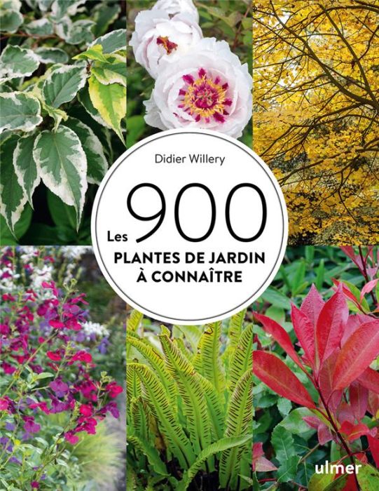 Emprunter Les 900 plantes de jardin à connaître livre