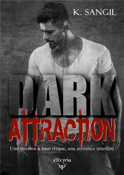 Emprunter Dark attraction livre