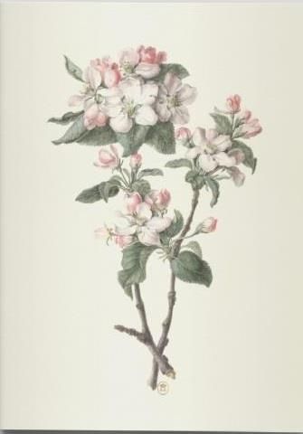 Emprunter Dessins de fleurs. Cahier végétal, Edition bilingue français-anglais livre