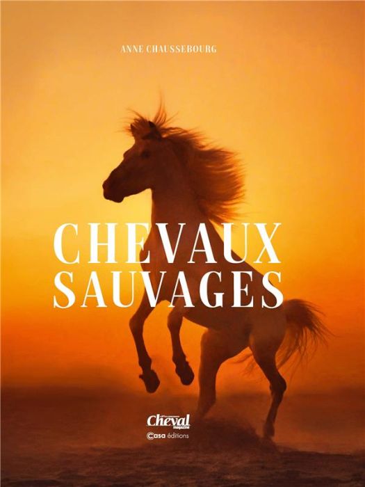 Emprunter Chevaux Sauvages livre