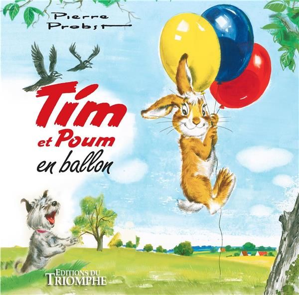 Emprunter Tim et Poum en ballon livre