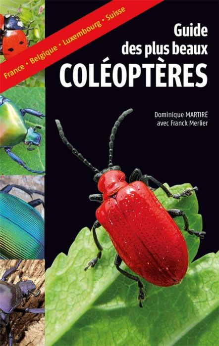 Emprunter Guide des plus beaux coléoptères livre
