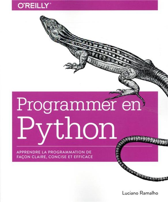 Emprunter Programmer avec Python livre