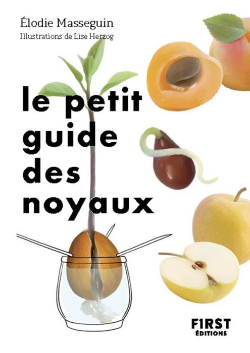 Emprunter Le Petit Guide des noyaux livre