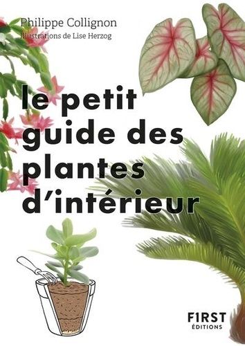 Emprunter Le petit guide des plantes d'intérieur. 70 variétés pour embellir son salon livre