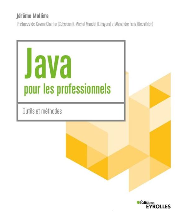 Emprunter Java pour les professionnels. Outils et méthodes livre