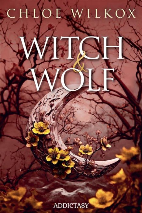 Emprunter Witch & Wolf livre