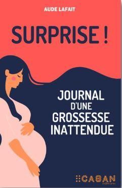 Emprunter Surprise ! Journal d'une grossesse inattendue livre