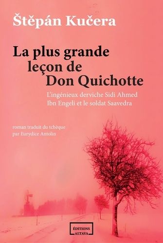 Emprunter La plus grande leçon de Don Quichotte. L'ingénieux derviche Sidi Ahmed Ibn Engeli et le soldat Saave livre