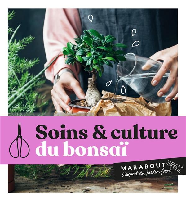 Emprunter Soins & culture du bonsaï livre