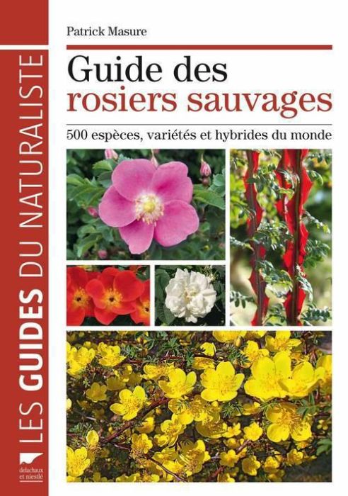 Emprunter Guide des rosiers sauvages. 500 espèces, variétés et hybrides du monde livre