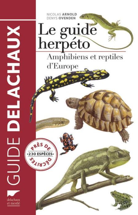 Emprunter Le guide herpéto. 228 amphibiens et reptiles d'Europe livre