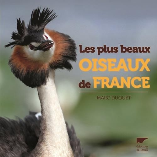 Emprunter Les plus beaux oiseaux de France livre