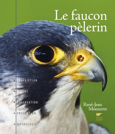 Emprunter Le faucon pèlerin livre