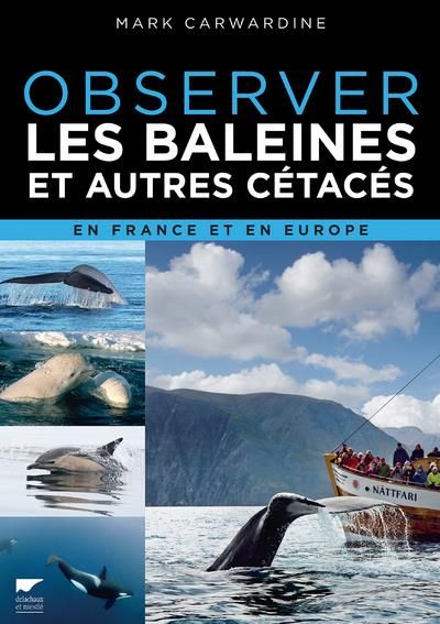 Emprunter Observer les baleines et autres cétacés en France et en Europe livre