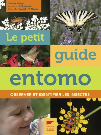 Emprunter Le Petit Guide d'entomo. Observer et identifier les insectes livre
